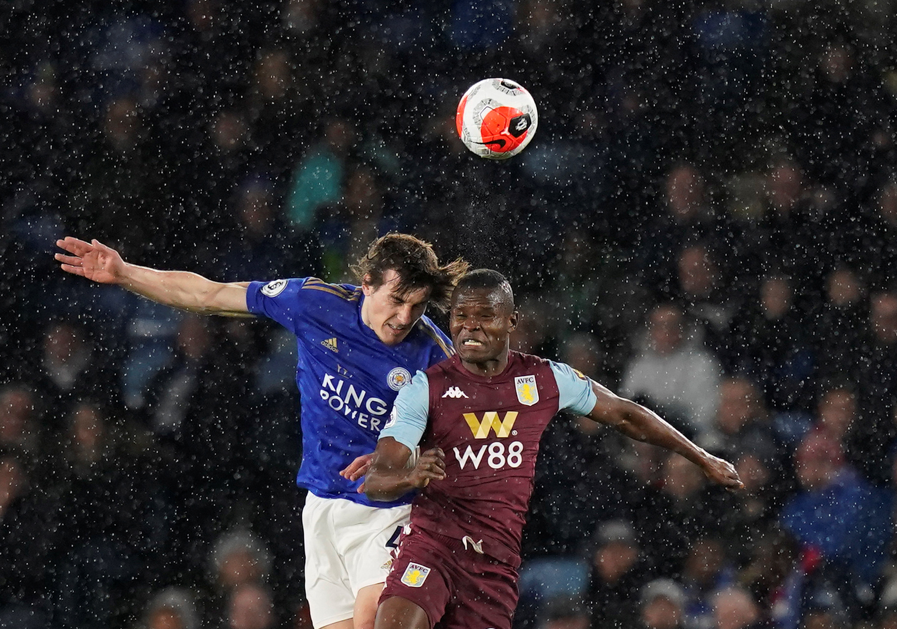 包括重建肌 包括重建肌